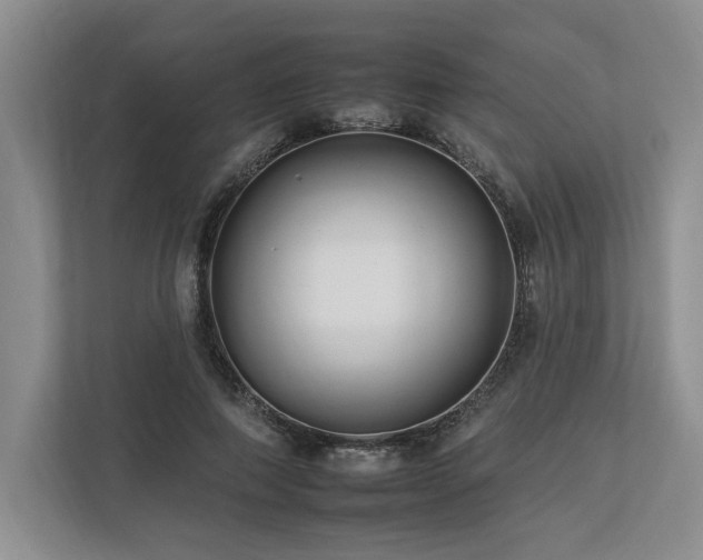 X0000112930690200908241301