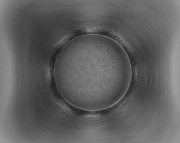 X0000112930691200908241300