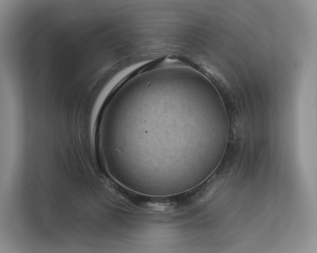 X0000112930693200908241300