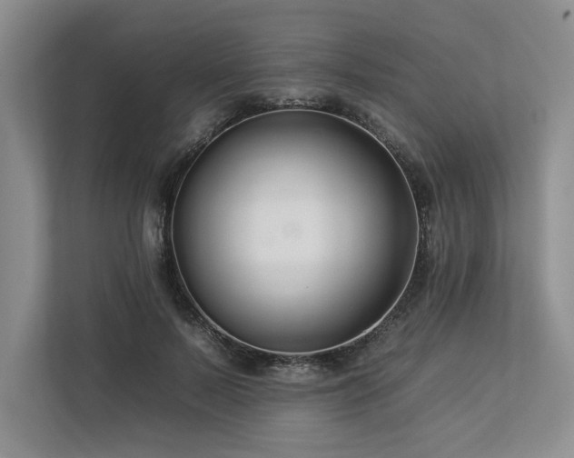 X0000112930695200908241300