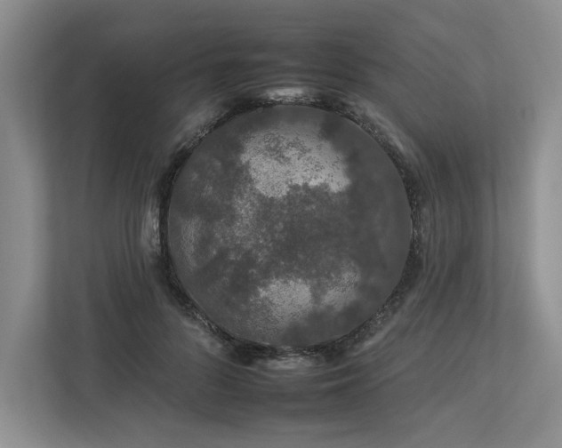 X0000112930696200908241300