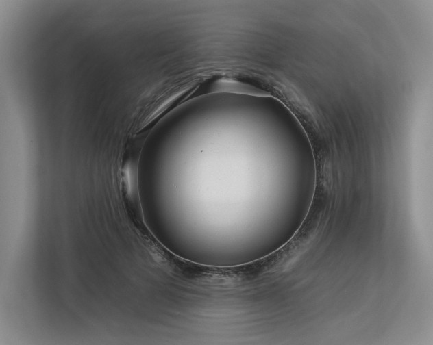 X0000112930697200908241300