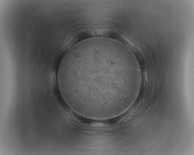 X0000112930699200908241300