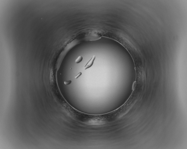 X0000112930700200908241300