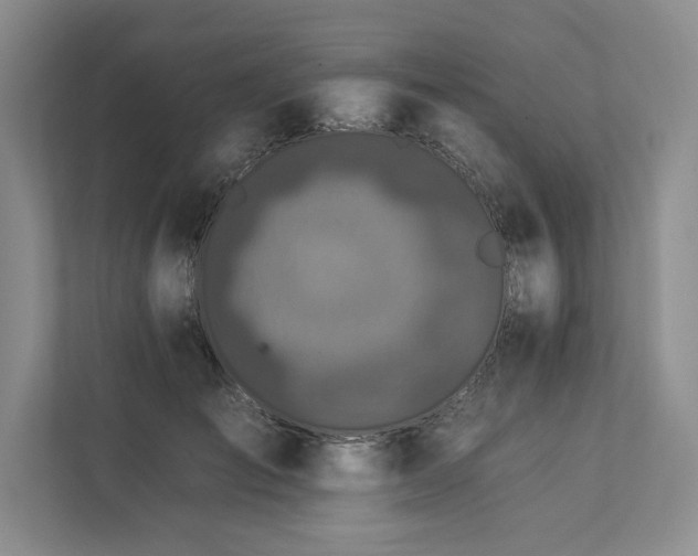 X0000112930701200908241300