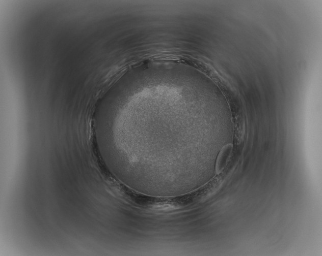 X0000112930704200908241300