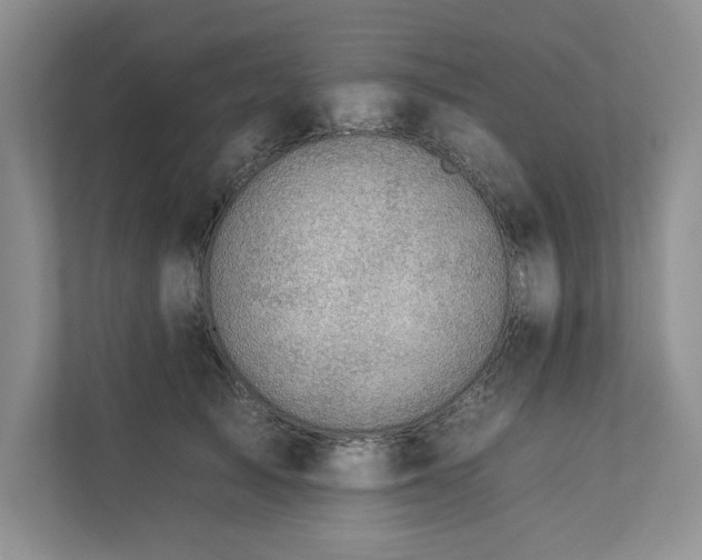 X0000112930705200908241300