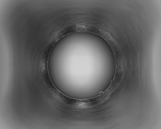 X0000112930706200908241300