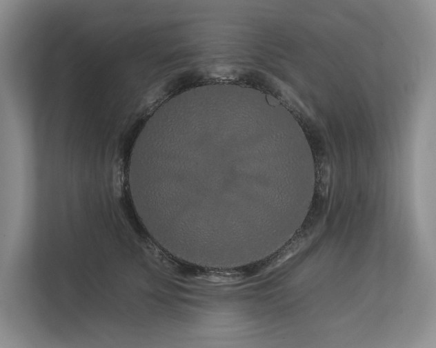 X0000112930707200908241300