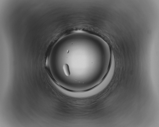 X0000112930708200908241300