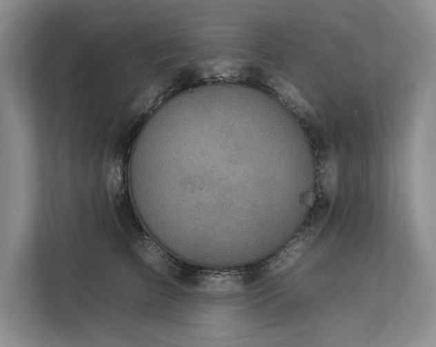 X0000112930709200908241300