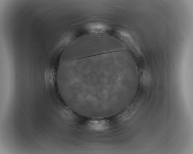 X0000112930712200908241300