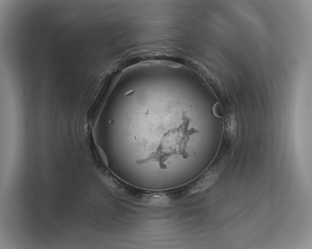 X0000112930715200908241300