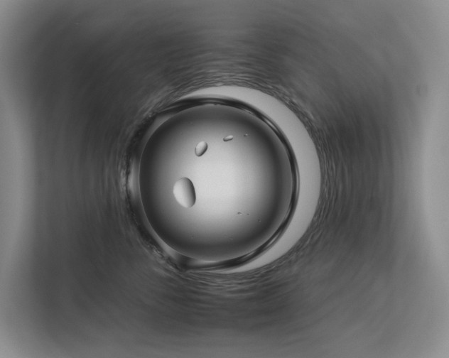 X0000112930716200908241300