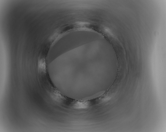 X0000112930720200908241300