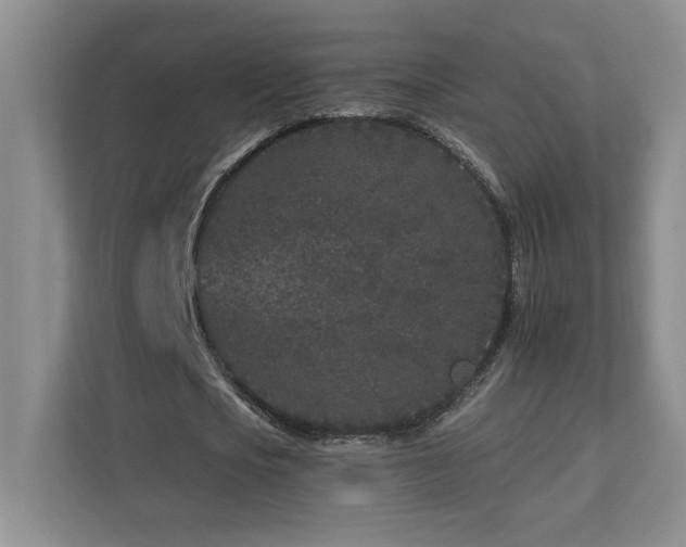 X0000112930721200908241259