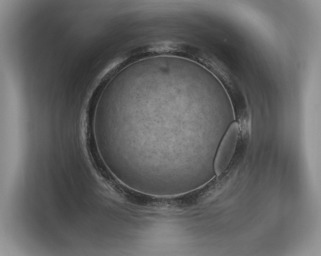 X0000112930724200908241300