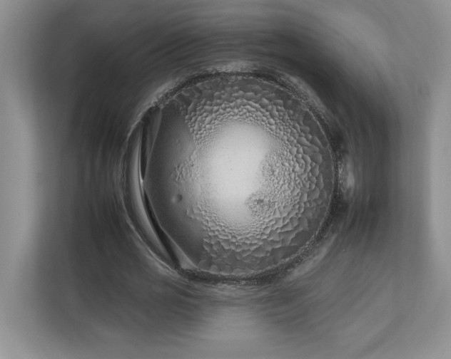 X0000112930725200908241300