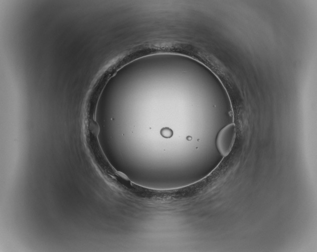 X0000112930728200908241300