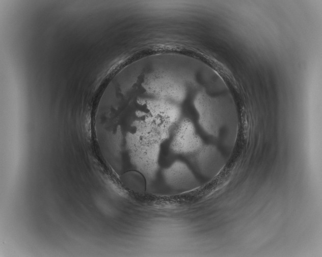 X0000112930729200908241300