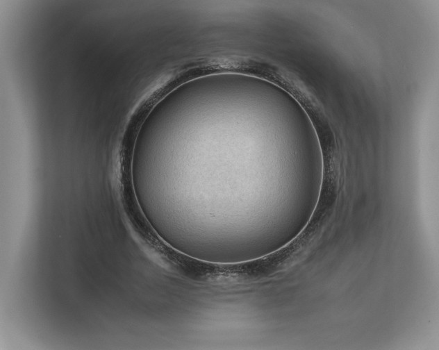 X0000112930730200908241300