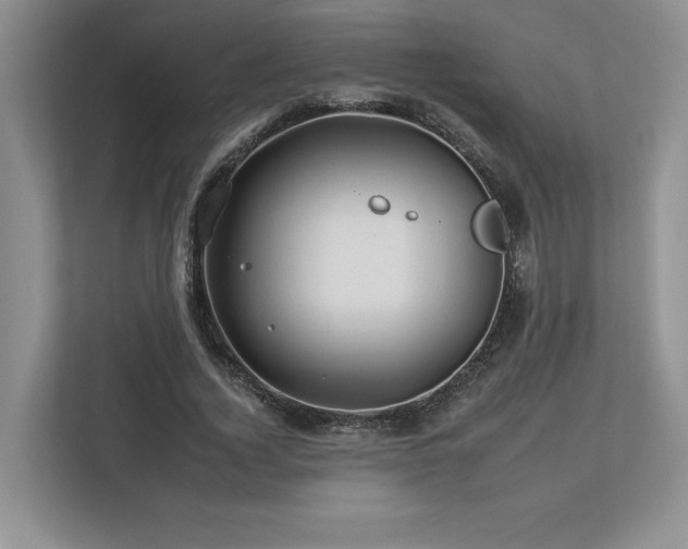 X0000112930732200908241300