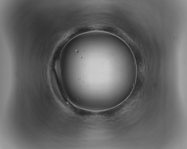 X0000112930734200908241300