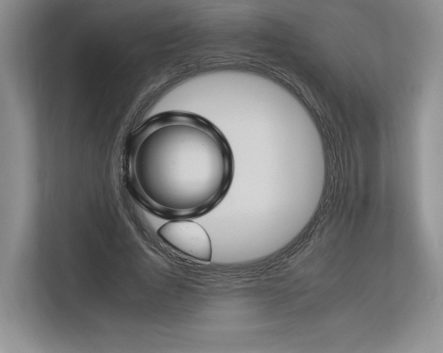 X0000112930736200908241300