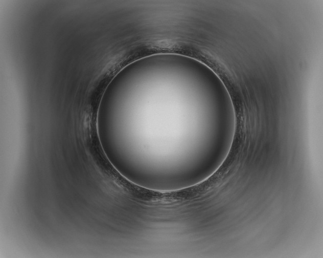 X0000112930739200908241300