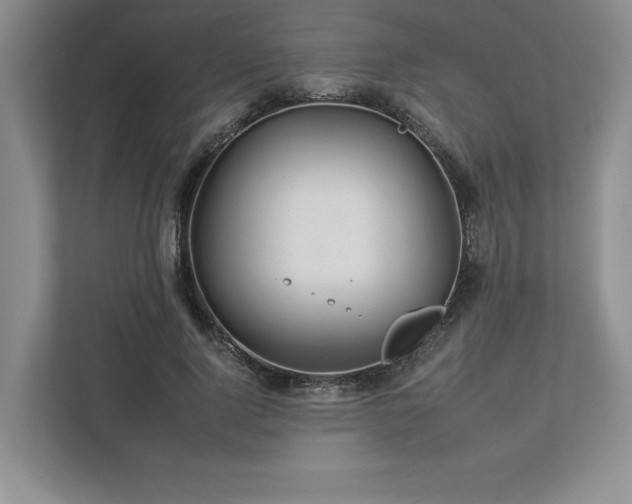 X0000112930740200908241300