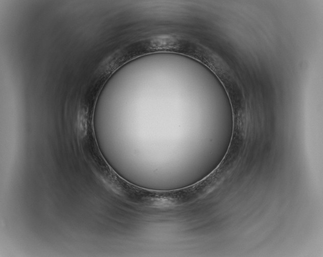 X0000112930741200908241300