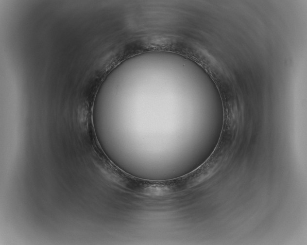 X0000112930749200908241300