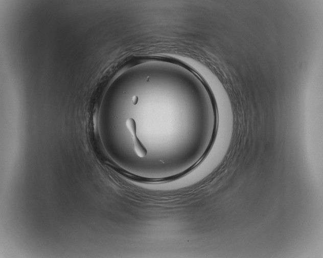 X0000112930750200908241300