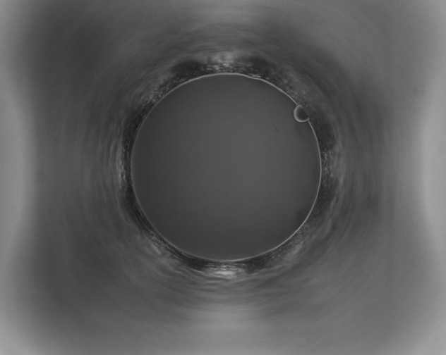 X0000112930754200908241300