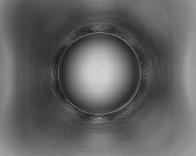 X0000112930755200908241300