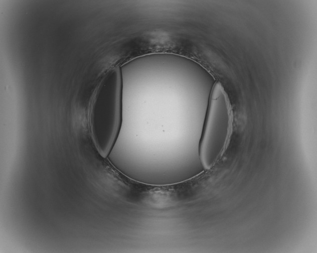 X0000112930756200908241300