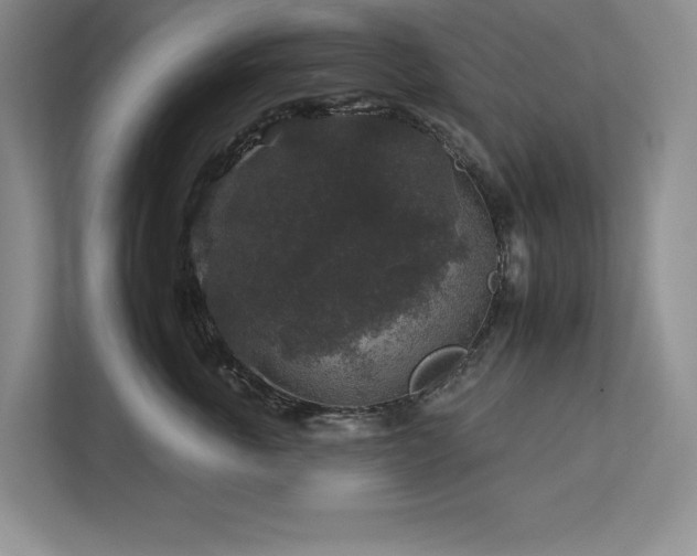 X0000112930763200908241300