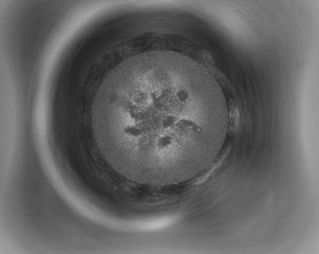 X0000112930765200908241300