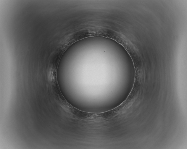 X0000112930770200908241259