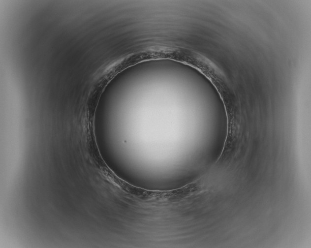 X0000112930773200908241259