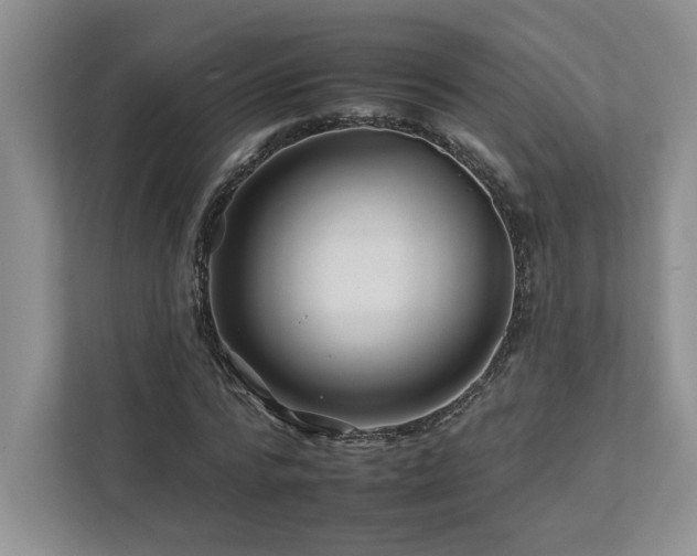 X0000112930776200908241259