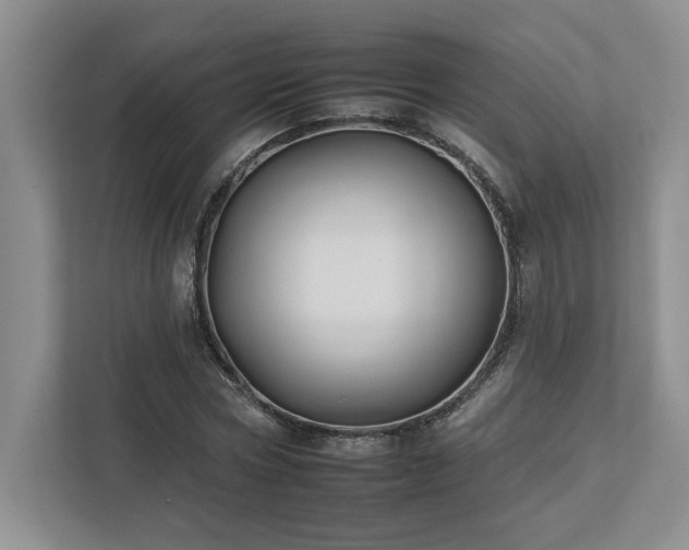 X0000112930778200908241259