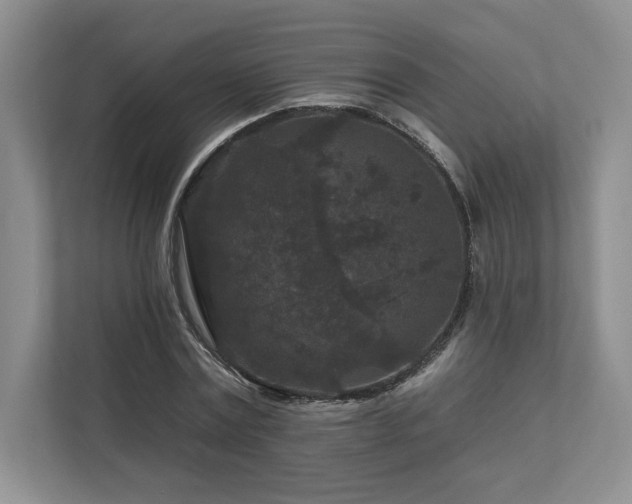 X0000112930779200908241259