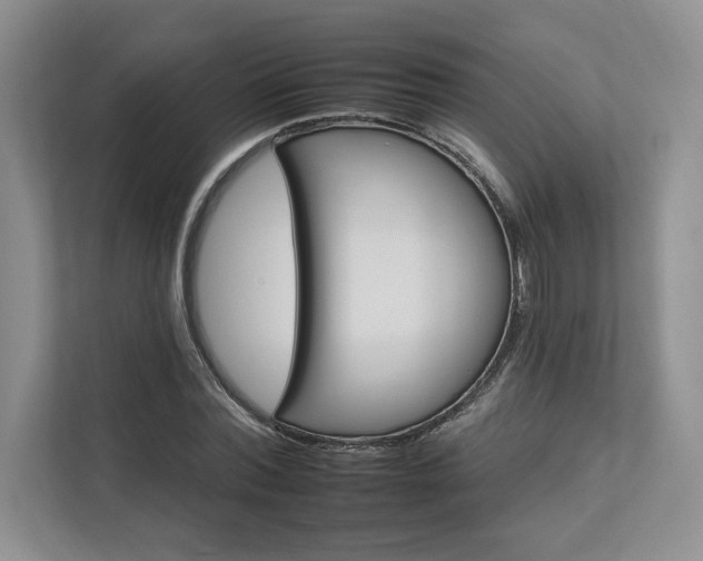 X0000112930780200908241259
