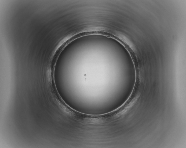 X0000112930781200908241259