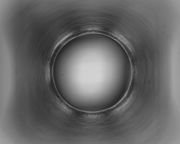 X0000112930782200908241259