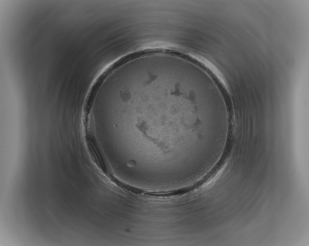 X0000112930783200908241259