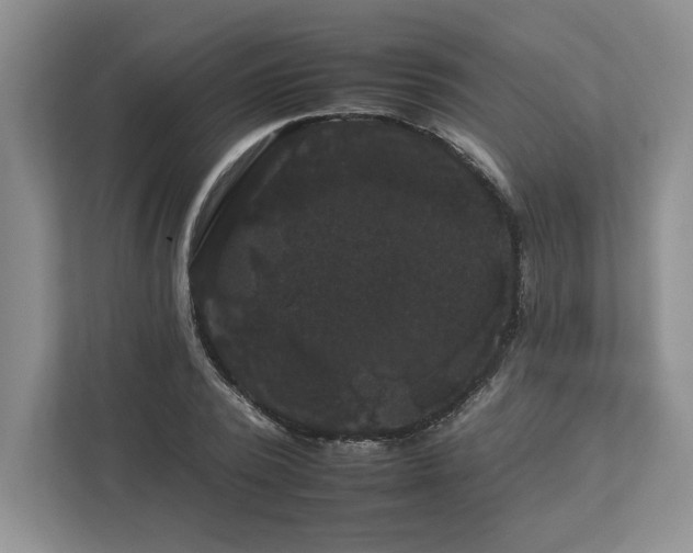 X0000112930784200908241259