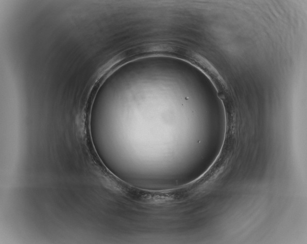 X0000112930786200908241259