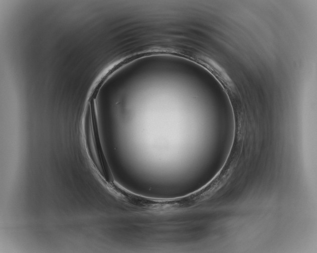 X0000112930796200908241259